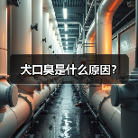 犬口臭是什么原因？（图2）
