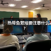 热带鱼繁殖要注意什么？（图3）