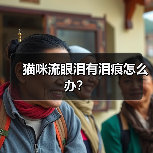 猫咪流眼泪有泪痕怎么办？