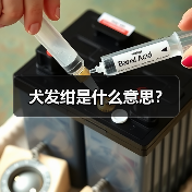犬发绀是什么意思？（图3）