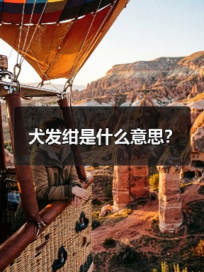 犬发绀是什么意思？