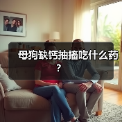 母狗缺钙抽搐吃什么药？（图2）