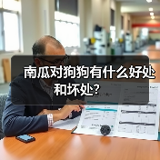 南瓜对狗狗有什么好处和坏处？（图2）