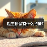魔王松鼠有什么特征？
