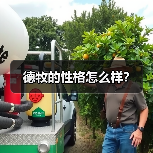 德牧的性格怎么样？（图2）