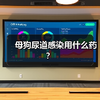母狗尿道感染用什么药？（图1）
