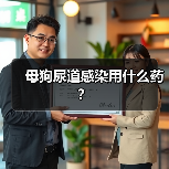 母狗尿道感染用什么药？