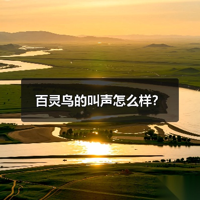 百灵鸟的叫声怎么样？
