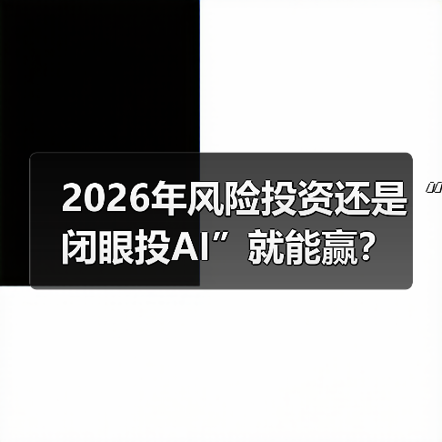 2026年风险投资还是“闭眼投AI”就能赢？（图2）