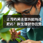 止泻药黄连素岂能当减肥药?医生提醒勿信营销号 来源:互联网 2026-05-20(图2) 止泻药黄连素岂能当减肥药?医生提醒勿信营销号 来源:互联网 2026-05-20(图2)