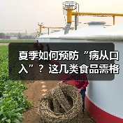 夏季如何预防“病从口入”？这几类食品需格外留意 来源：互联网 2026-06-22（图1）