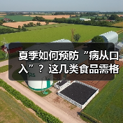 夏季如何预防“病从口入”？这几类食品需格外留意 来源：互联网 2026-06-22