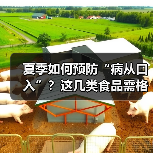 夏季如何预防“病从口入”？这几类食品需格外留意 来源：互联网 2026-06-22（图4）