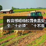 教育部明确校园食品安全“十必须”“十不准” 来源:互联网 2026-04-03(图1) 教育部明确校园食品安全“十必须”“十不准” 来源:互联网 2026-04-03(图1)