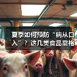 夏季如何预防“病从口入”?这几类食品需格外留意 来源:互联网 2026-06-22(图2) 夏季如何预防“病从口入”?这几类食品需格外留意 来源:互联网 2026-06-22(图2)