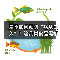 夏季如何预防“病从口入”?这几类食品需格外留意 来源:互联网 2026-06-22(图4) 夏季如何预防“病从口入”?这几类食品需格外留意 来源:互联网 2026-06-22(图4)