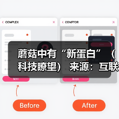 蘑菇中有“新蛋白”(科技瞭望) 来源:互联网 2026-05-25(图3) 蘑菇中有“新蛋白”(科技瞭望) 来源:互联网 2026-05-25(图3)
