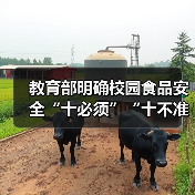 教育部明确校园食品安全“十必须”“十不准” 来源:互联网 2026-04-03(图3) 教育部明确校园食品安全“十必须”“十不准” 来源:互联网 2026-04-03(图3)
