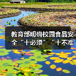 教育部明确校园食品安全“十必须”“十不准” 来源:互联网 2026-04-03(图3) 教育部明确校园食品安全“十必须”“十不准” 来源:互联网 2026-04-03(图3)