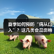 夏季如何预防“病从口入”?这几类食品需格外留意 来源:互联网 2026-06-22(图1) 夏季如何预防“病从口入”?这几类食品需格外留意 来源:互联网 2026-06-22(图1)