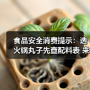 食品安全消费提示:选火锅丸子先查配料表 来源:互联网 2025-12-12(图4) 食品安全消费提示:选火锅丸子先查配料表 来源:互联网 2025-12-12(图4)