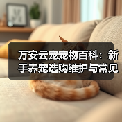 万安云宠宠物百科:新手养宠选购维护与常见问题指南2026(图2) 万安云宠宠物百科:新手养宠选购维护与常见问题指南2026(图2)
