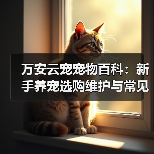 万安云宠宠物百科:新手养宠选购维护与常见问题指南2026(图1) 万安云宠宠物百科:新手养宠选购维护与常见问题指南2026(图1)