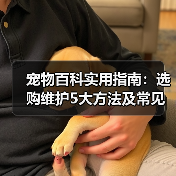 宠物百科实用指南:选购维护5大方法及常见问题解析(图3) 宠物百科实用指南:选购维护5大方法及常见问题解析(图3)