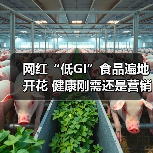 网红“低GI”食品遍地开花 健康刚需还是营销噱头? 来源:互联网 2026-05-13(图2) 网红“低GI”食品遍地开花 健康刚需还是营销噱头? 来源:互联网 2026-05-13(图2)