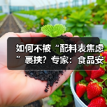 如何不被“配料表焦虑”裹挟?专家:食品安全与配料表长短无关 来源:互联网 2026-06-30(图3) 如何不被“配料表焦虑”裹挟?专家:食品安全与配料表长短无关 来源:互联网 2026-06-30(图3)