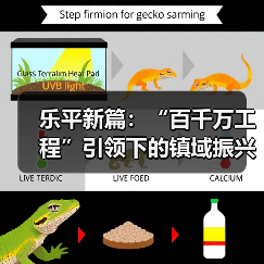 乐平新篇：“百千万工程”引领下的镇域振兴样本 来源：互联网 2026-01-26（图1）