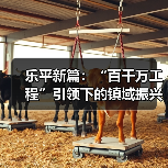 乐平新篇：“百千万工程”引领下的镇域振兴样本 来源：互联网 2026-01-26（图2）